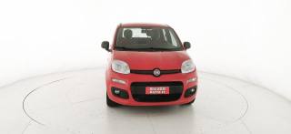 FIAT Panda usata 23