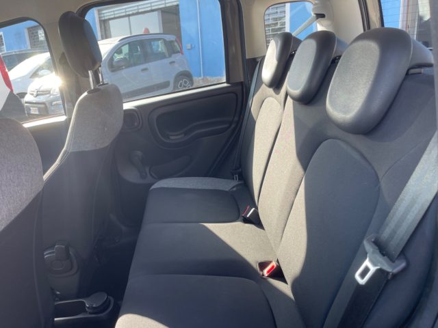FIAT Panda usata 12