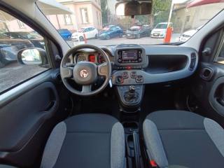 FIAT Panda usata, con ESP