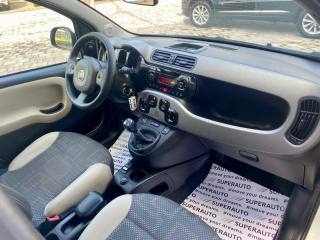 FIAT Panda usata, con Immobilizzatore elettronico