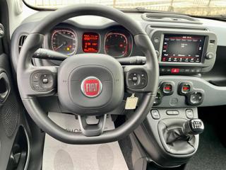 FIAT Panda Cross usata, con Servosterzo
