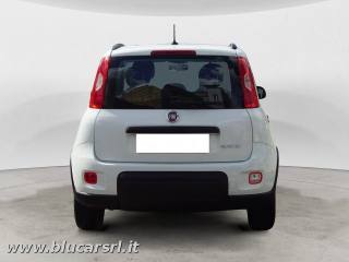 FIAT Panda usata, con Airbag Passeggero