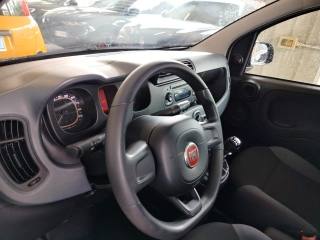FIAT Panda usata 17