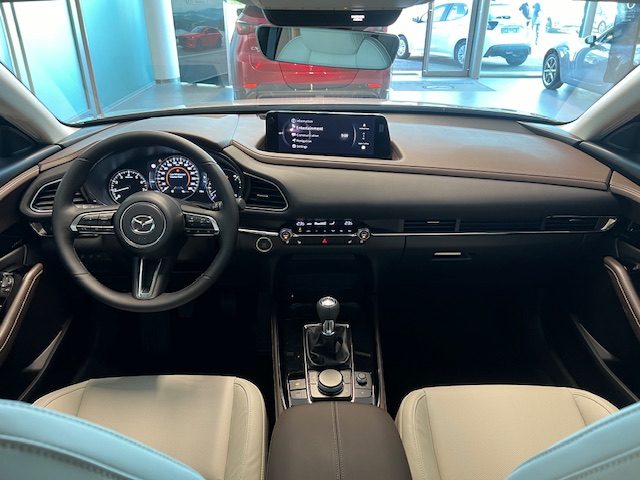 MAZDA CX-30 usata, con Cerchi in lega