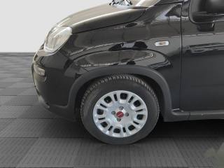FIAT Panda usata 14