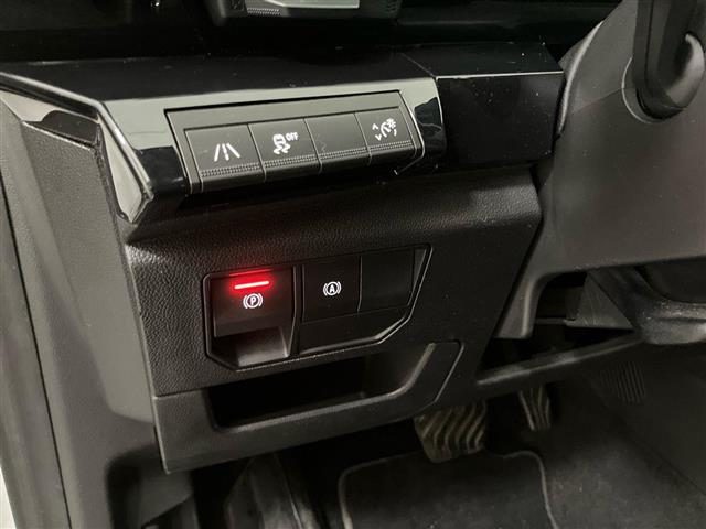 RENAULT Austral usata 28