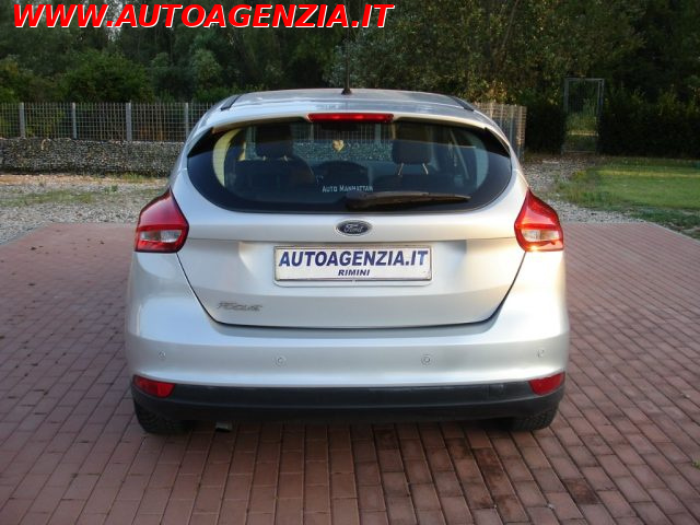 FORD Focus usata 6