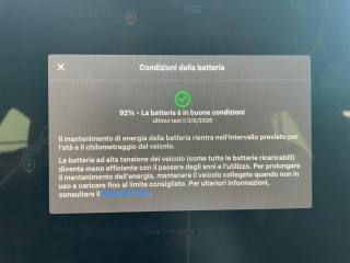 TESLA Model Y usata, con ESP