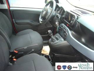 FIAT Panda usata 19