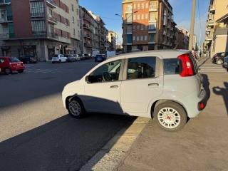 FIAT Panda usata, con Alzacristalli elettrici
