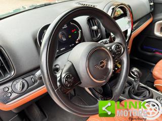 MINI Countryman usata, con Cronologia tagliandi