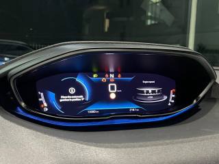 PEUGEOT 3008 usata, con Controllo vocale