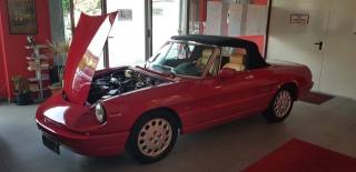 ALFA ROMEO Spider usata, con Cerchi in lega