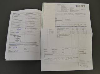 VOLKSWAGEN Maggiolino usata, con ESP