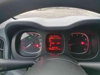 FIAT Panda usata 20