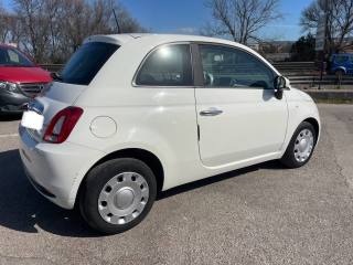 FIAT 500 usata 5