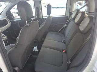 FIAT Panda usata, con ESP