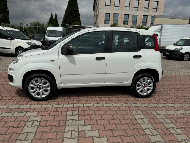 FIAT New Panda usata, con ABS