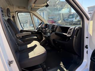 FIAT Ducato usata 12