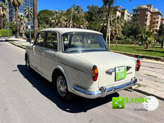 FIAT 1100 usata 8