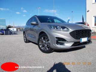 FORD Kuga 1.5 EcoBlue automatica CDI 120 CV 2WD ST-Line
