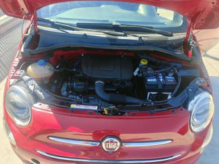 FIAT 500 usata 17