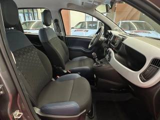 FIAT Panda usata, con Fendinebbia