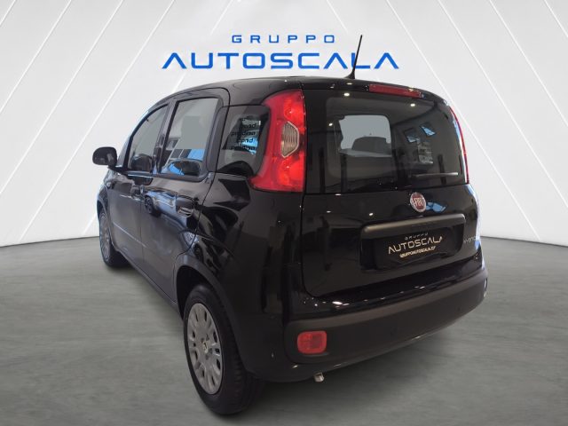 FIAT New Panda usata, con Airbag laterali