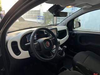 FIAT Panda usata, con Volante multifunzione
