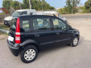 FIAT Panda usata 5
