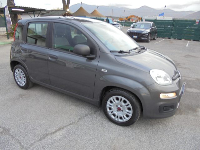 FIAT Panda usata 14