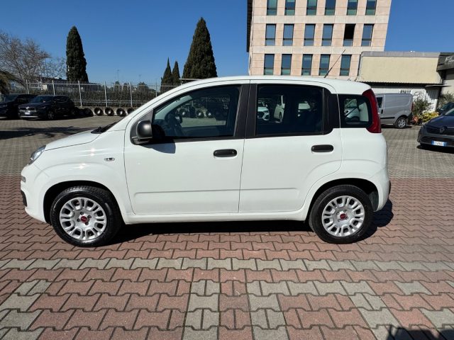 FIAT New Panda usata, con Airbag laterali