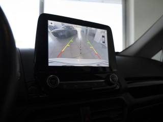 FORD EcoSport usata, con Sensore di luce