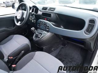 FIAT Panda usata 10