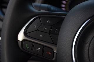 JEEP Renegade usata, con Controllo vocale