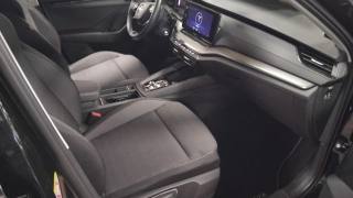 SKODA Octavia usata, con Fendinebbia