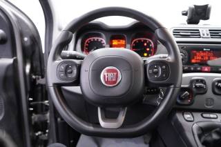 FIAT New Panda usata 10