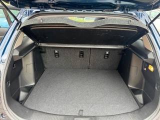 SUZUKI S-Cross usata, con Bracciolo