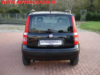 FIAT Panda usata 6