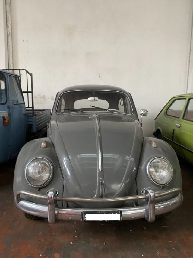 VOLKSWAGEN Maggiolone usata 0