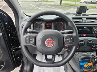 FIAT Panda usata, con Servosterzo