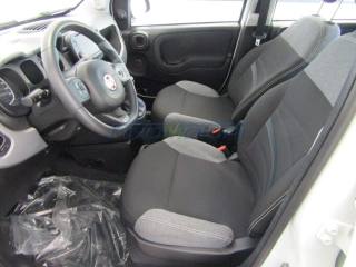 FIAT New Panda usata, con Climatizzatore