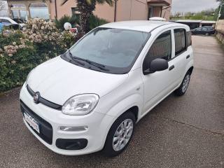 FIAT Panda usata, con Bluetooth