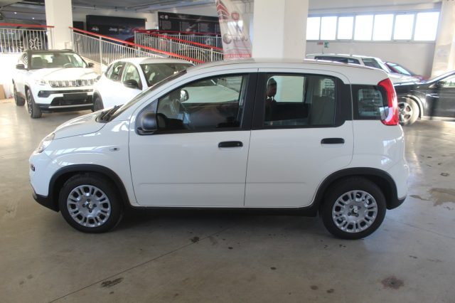 FIAT Panda usata, con Airbag laterali