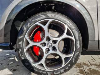 ALFA ROMEO Tonale usata, con Boardcomputer