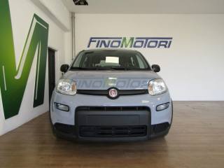 FIAT Panda usata, con Airbag