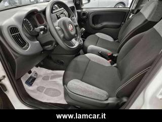 FIAT Panda usata, con Immobilizzatore elettronico