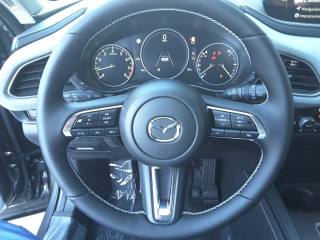MAZDA CX-30 usata, con Servosterzo