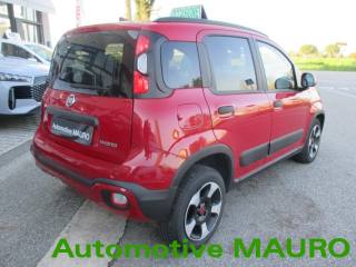 FIAT Panda Cross usata, con Controllo trazione