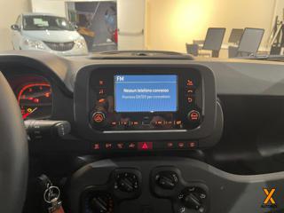 FIAT Panda usata 14